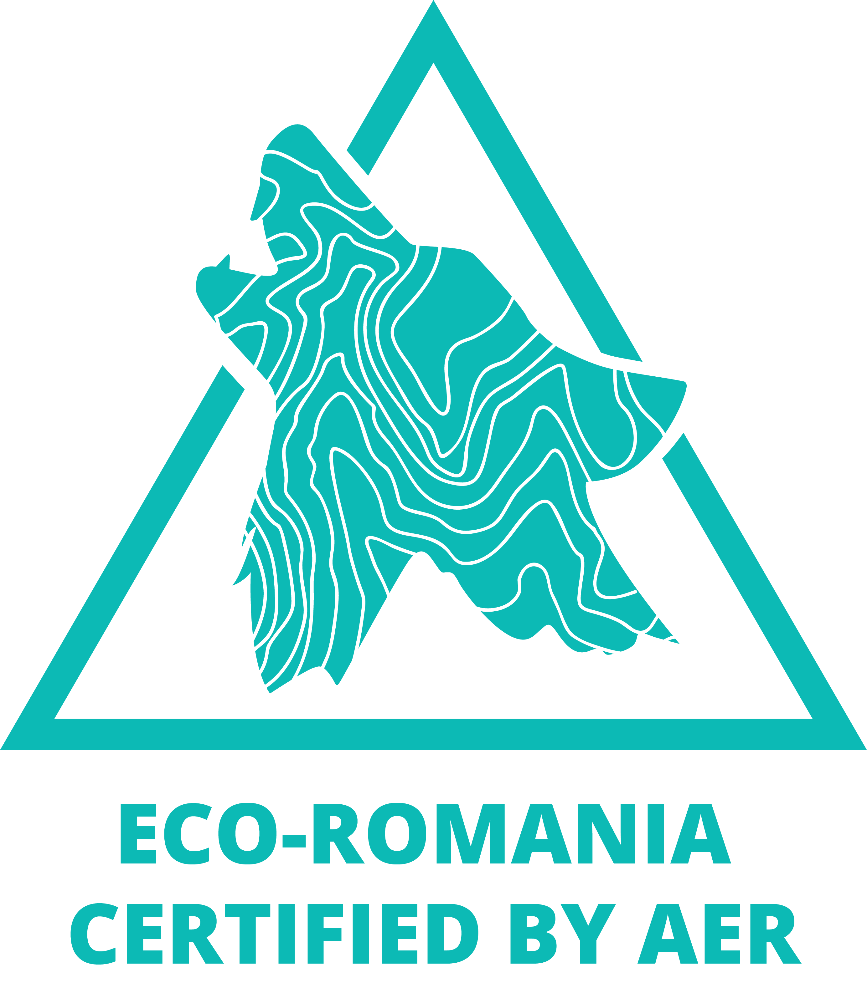 Logo: eco romania